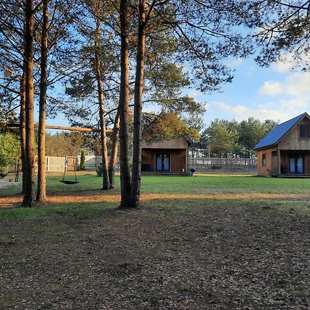 Domki Nad Kukowkiem ブジジェ・トゥホルスキエ エクステリア 写真